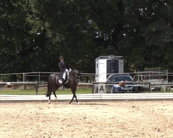 Reitturnier Ostbevern 2024