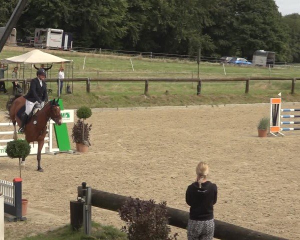 Reitturnier Sieversen - Rosengarten 2024