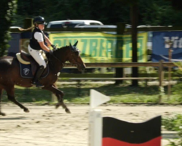 Reitturnier Walldorf/Winterheck 2024