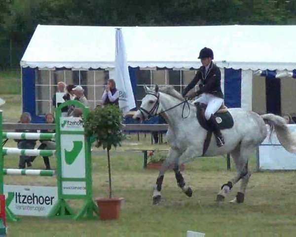 Nord-Ost-Pferd 2013