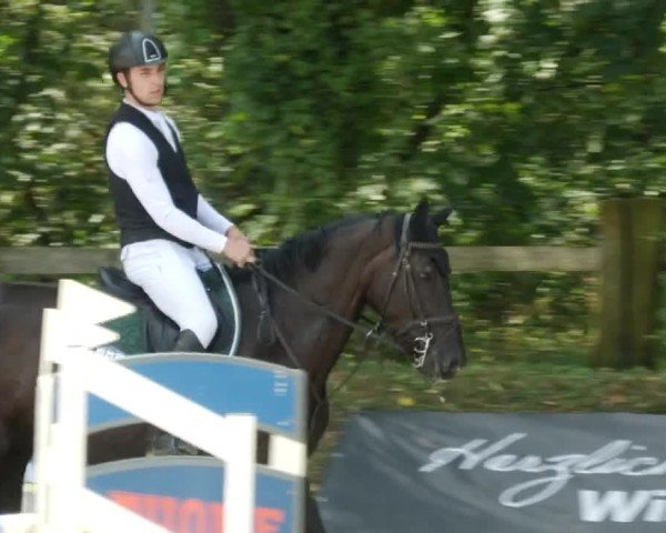 Reitturnier Walldorf/Winterheck 2024