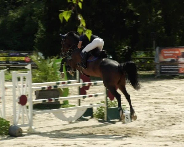 Reitturnier Walldorf/Winterheck 2024