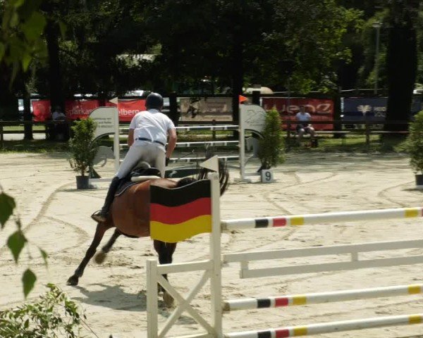 Reitturnier Walldorf/Winterheck 2024