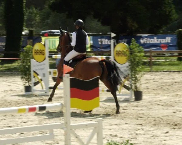 Reitturnier Walldorf/Winterheck 2024