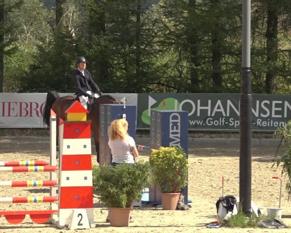 Reitturnier Sieversen - Rosengarten 2024
