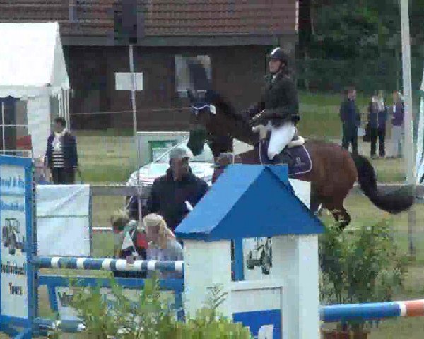 Nord-Ost-Pferd 2013