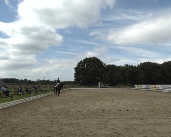 Reitturnier Ostbevern 2024