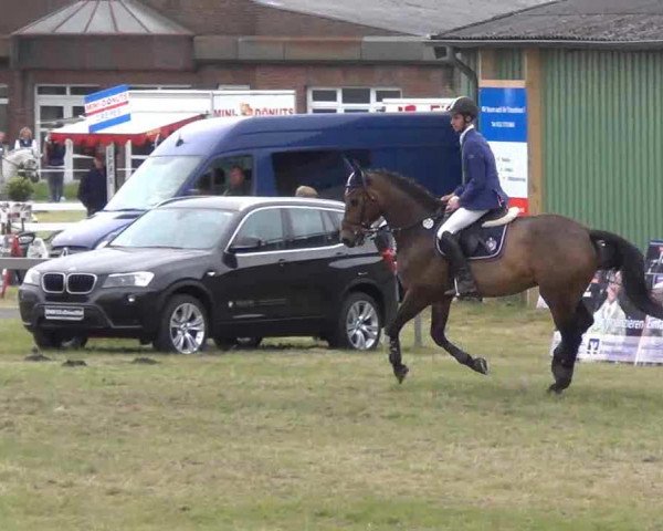 Nord-Ost-Pferd 2013