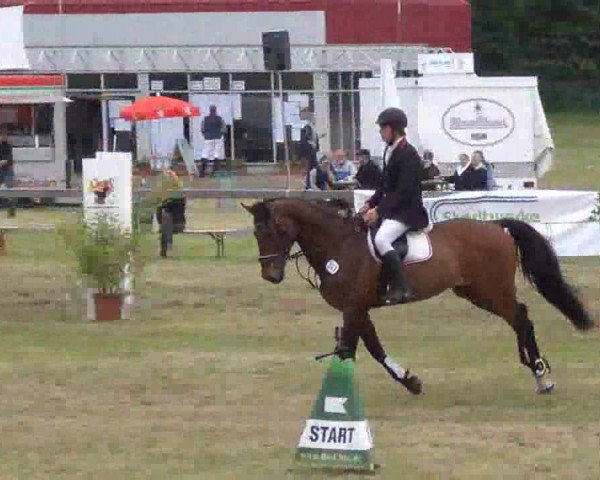 Reitturnier Rendsburg 2013