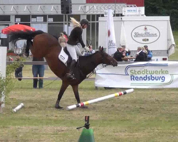 Nord-Ost-Pferd 2013