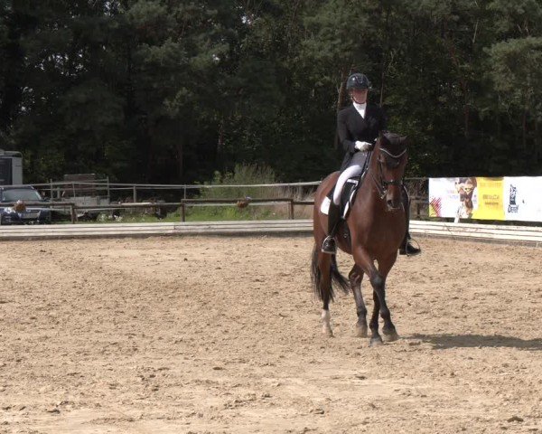 Reitturnier Ostbevern 2024