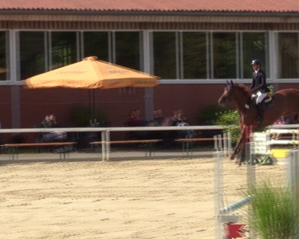 Reitturnier Werne 2024