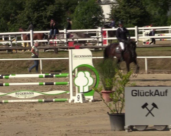 Reitturnier Werne 2024