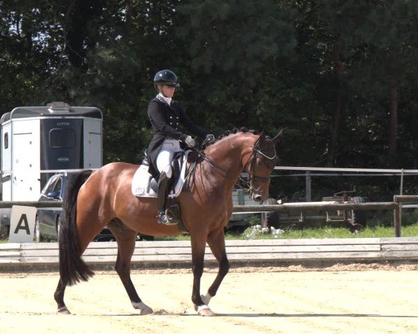 Reitturnier Ostbevern 2024