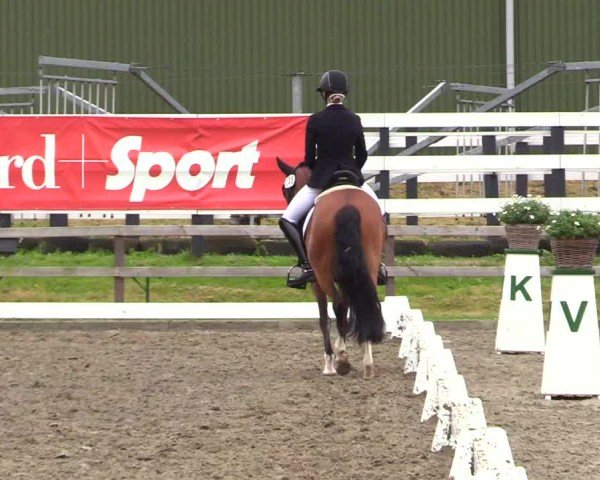 Reitturnier Kleinsolter Turniertage 2024