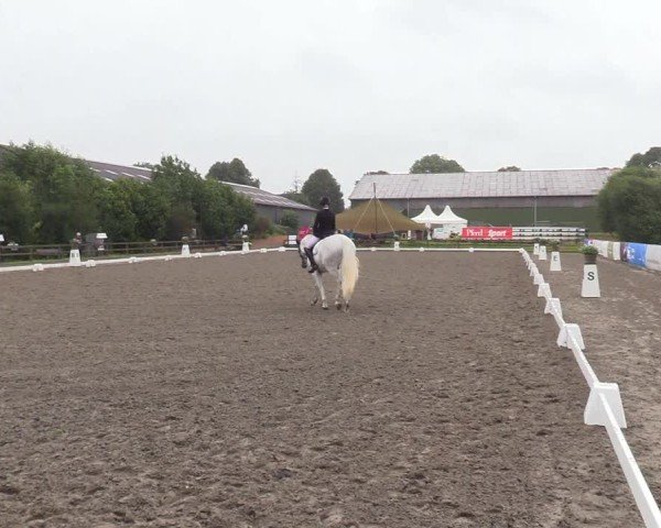 Reitturnier Kleinsolter Turniertage 2024