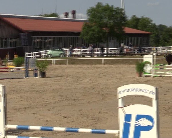 Reitturnier Werne 2024