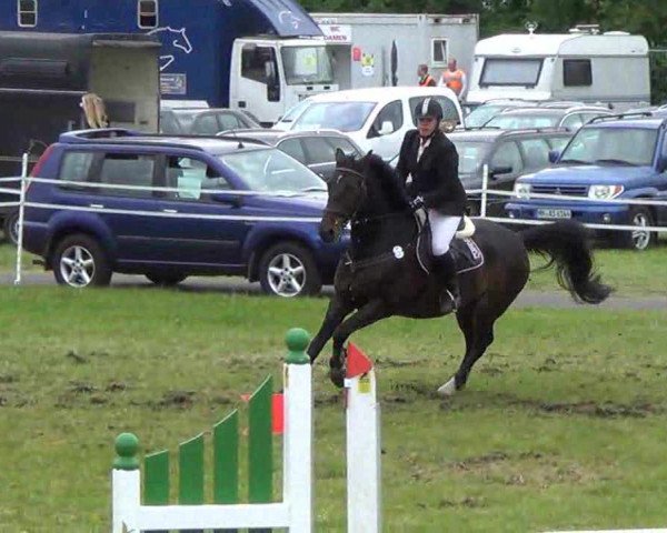 Reitturnier Rendsburg 2013