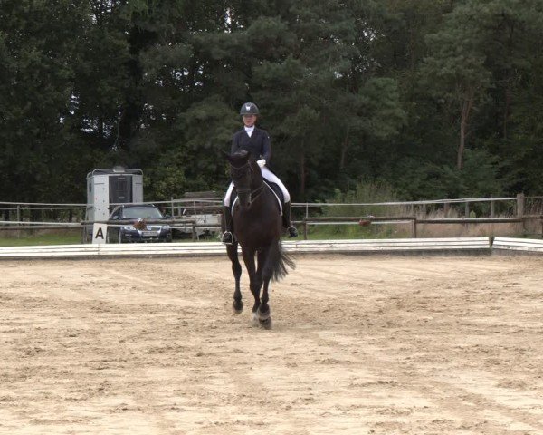 Reitturnier Ostbevern 2024