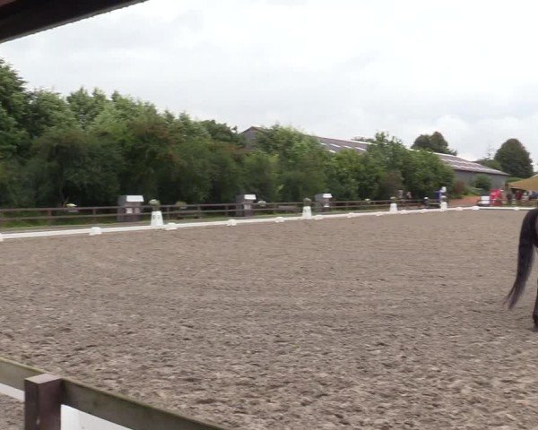 Reitturnier Kleinsolter Turniertage 2024