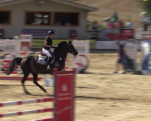 Reitturnier Duderstadt 2024