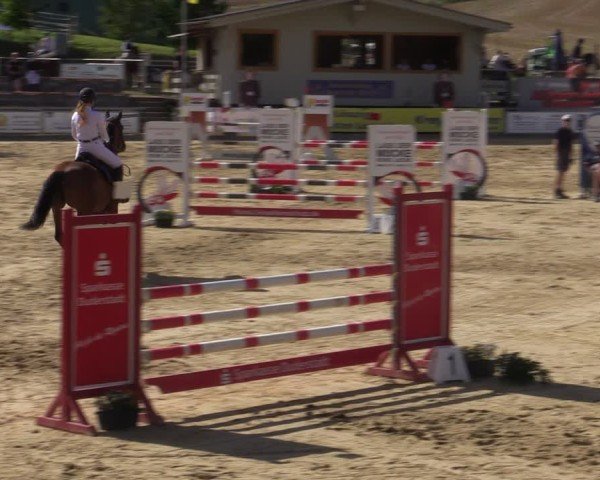 Reitturnier Duderstadt 2024