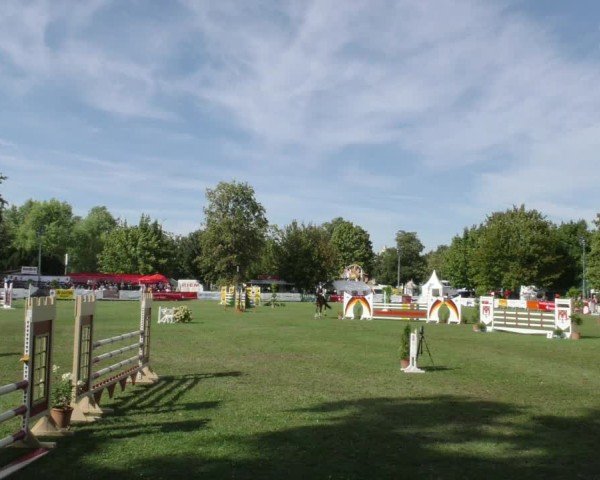 Reitturnier Aschersleben 2024