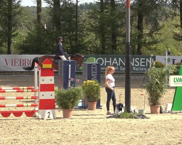 Reitturnier Sieversen - Rosengarten 2024