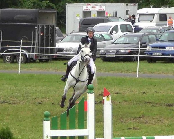 Reitturnier Rendsburg 2013