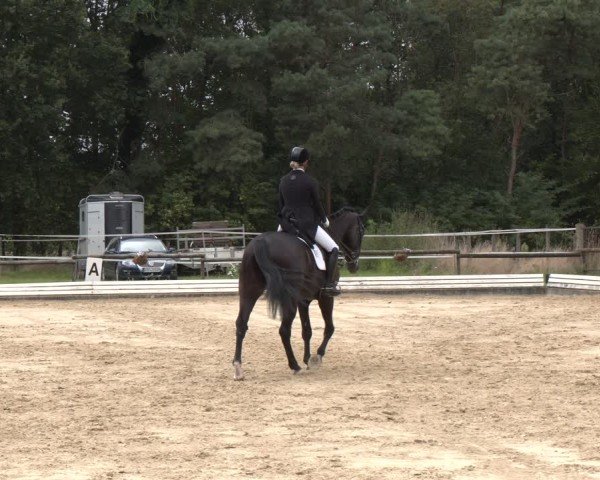 Reitturnier Ostbevern 2024