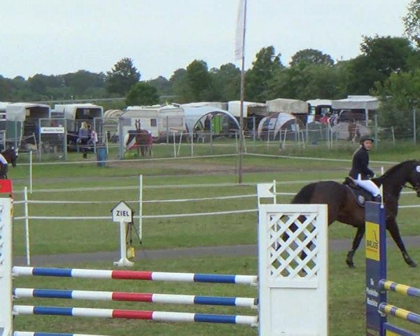 Reitturnier Rendsburg 2013