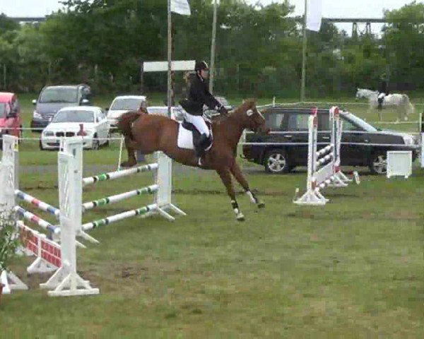 Nord-Ost-Pferd 2013
