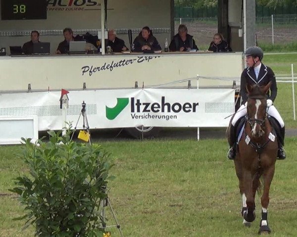 Nord-Ost-Pferd 2013