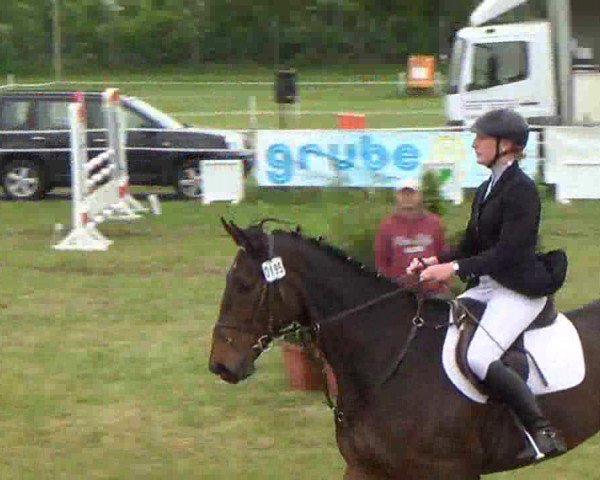 Reitturnier Rendsburg 2013