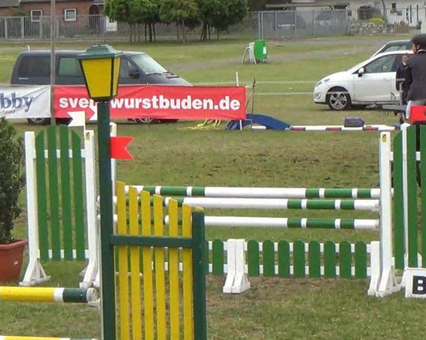 Reitturnier Rendsburg 2013