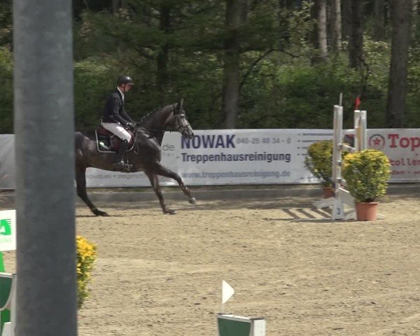 Reitturnier Sieversen - Rosengarten 2024