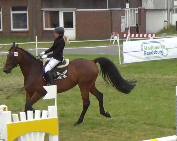 Nord-Ost-Pferd 2013