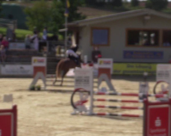Reitturnier Duderstadt 2024