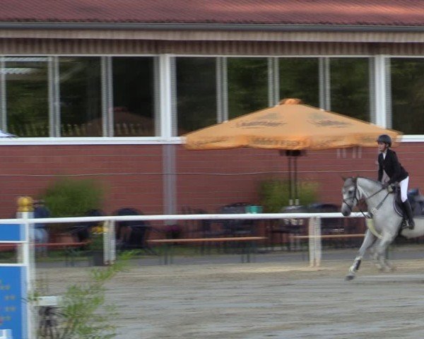Reitturnier Werne 2024