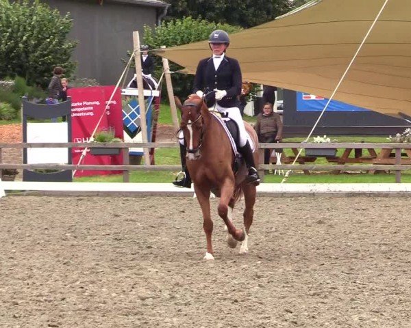 Reitturnier Kleinsolter Turniertage 2024