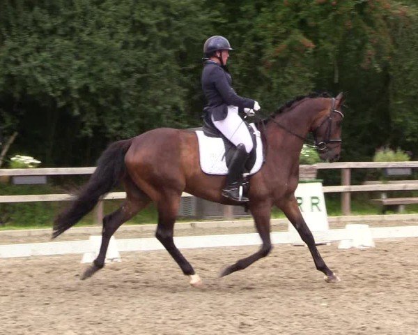 Reitturnier Kleinsolter Turniertage 2024