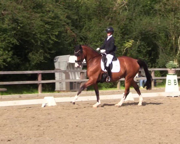 Reitturnier Kleinsolter Turniertage 2024
