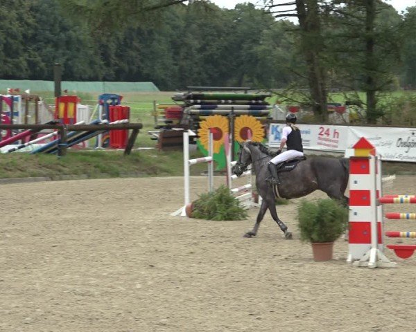 Reitturnier Sieversen - Rosengarten 2024