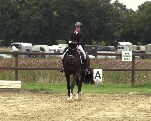 Reitturnier Ostbevern 2024
