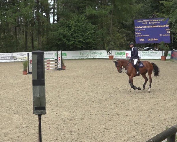 Reitturnier Sieversen - Rosengarten 2024