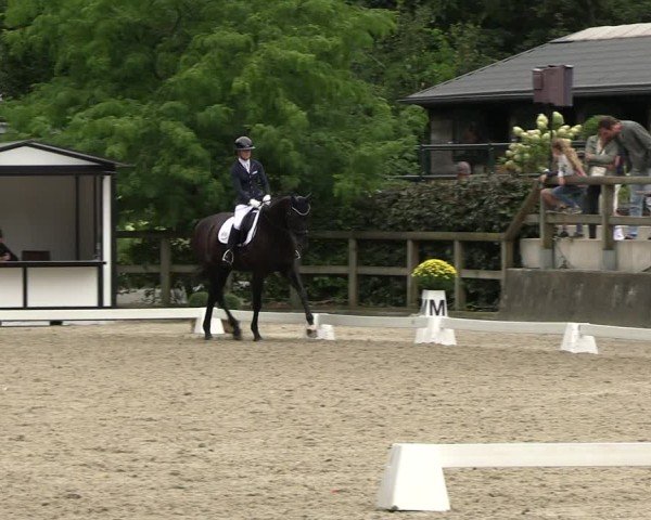 Reitturnier Solingen 2024