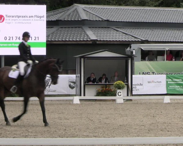 Reitturnier Solingen 2024