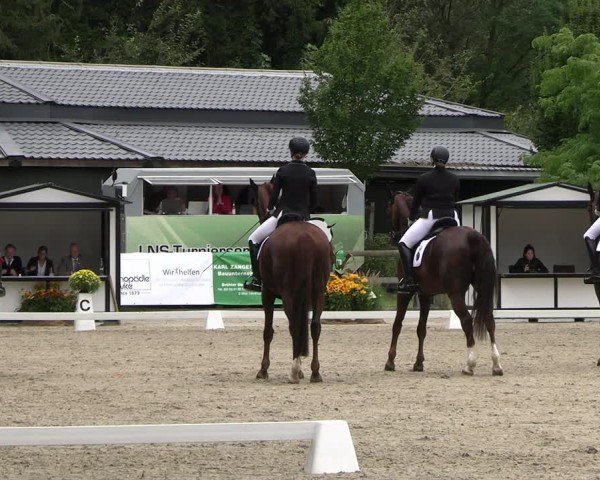 Reitturnier Solingen 2024
