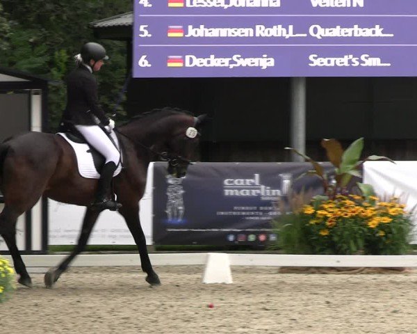 Reitturnier Solingen 2024