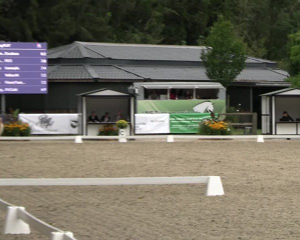 Reitturnier Solingen 2024